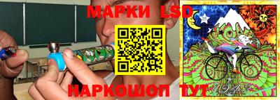 spice Обнинск