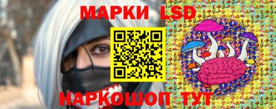 spice Обнинск