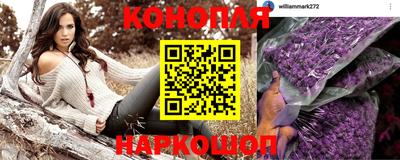 spice Обнинск