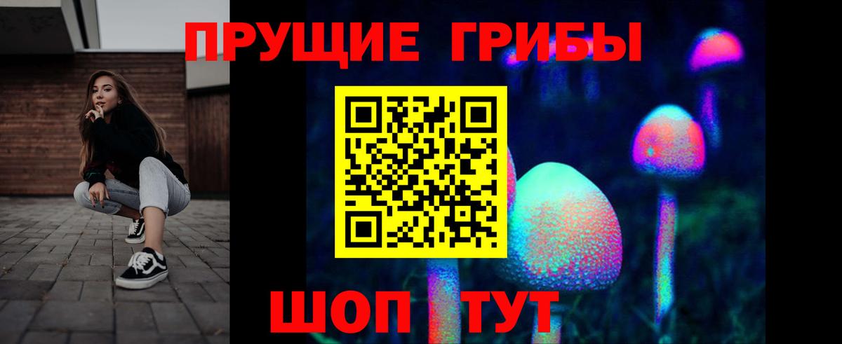 Галлюциногенные грибы Сорочинск