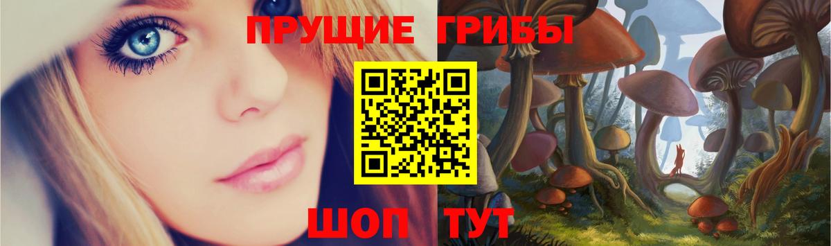 Псилоцибиновые грибы MAGIC MUSHROOMS  Псилоцибиновые грибы ЛСД  купить   Сорочинск  Вход с VPN 